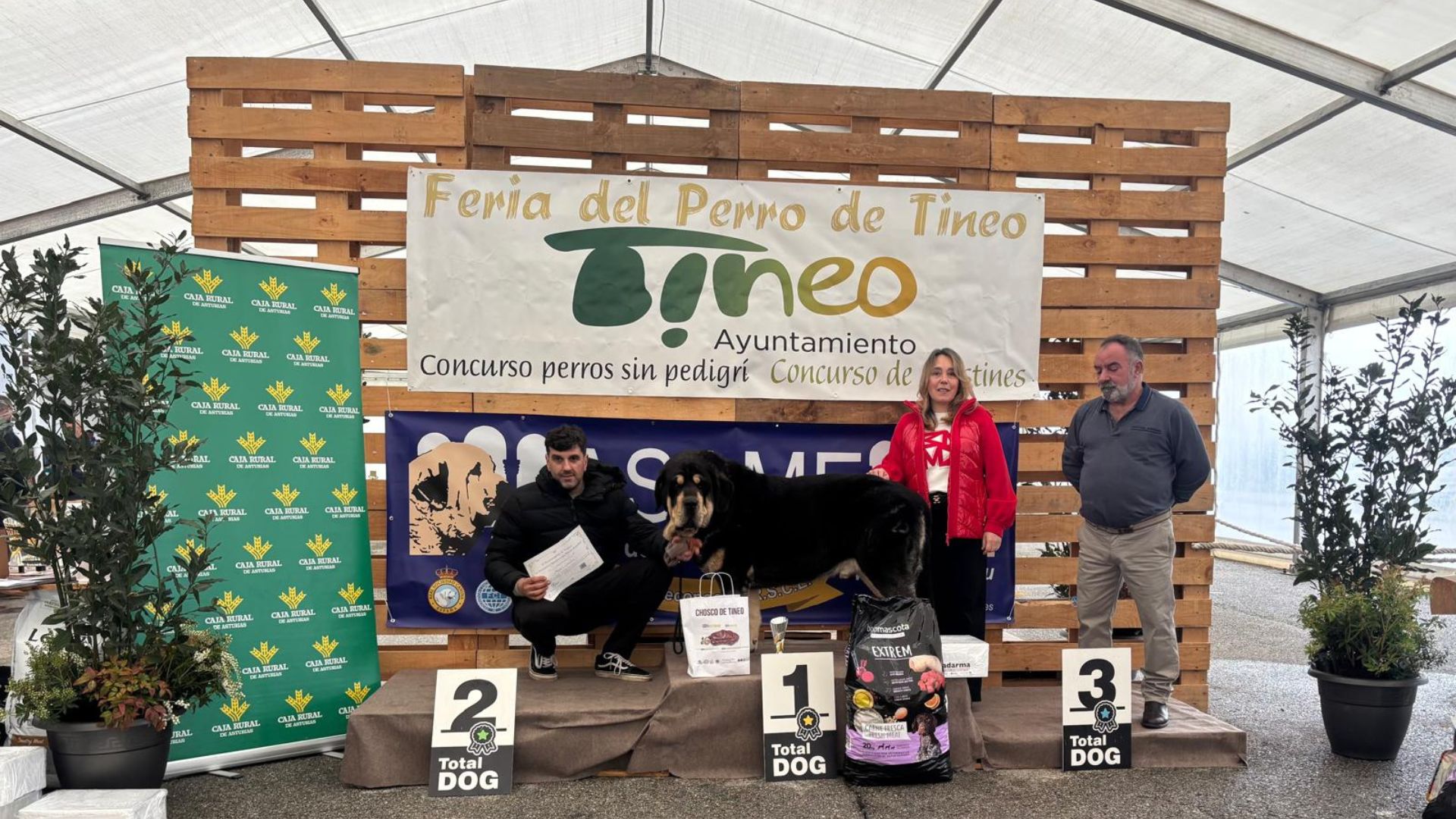 Feria del Perro Tineo16