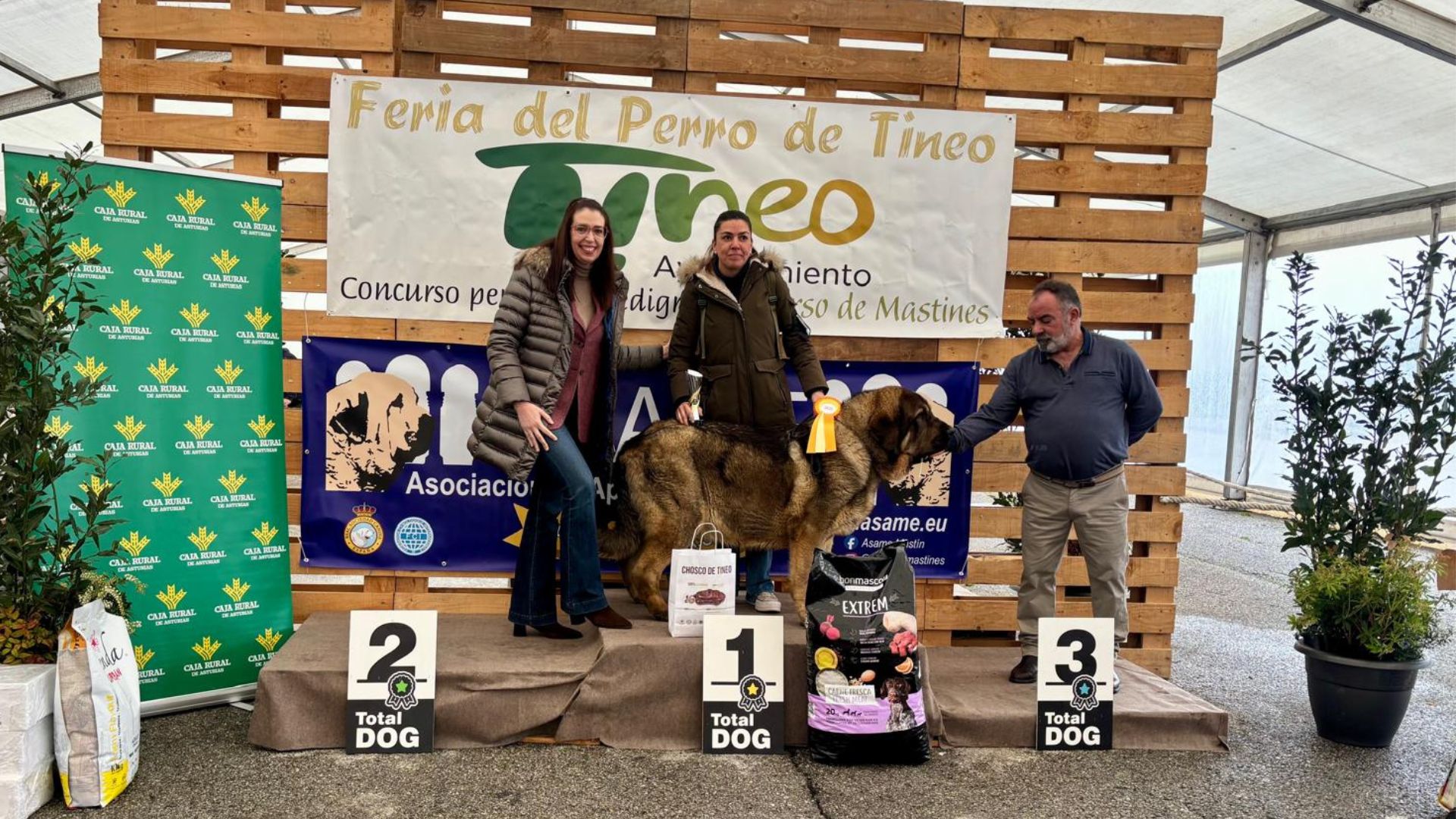 Feria del Perro Tineo17